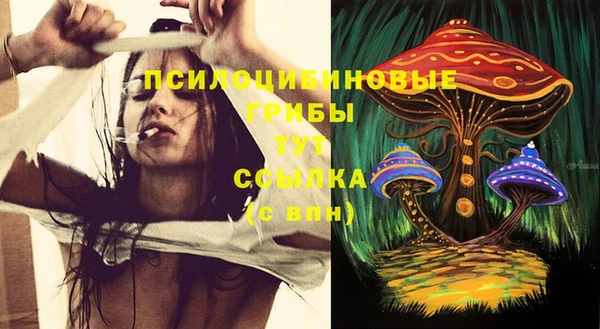 дурь Тутаев