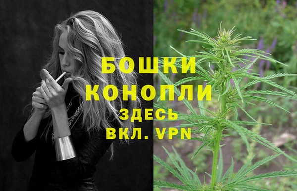 не бодяженный Каменногорск