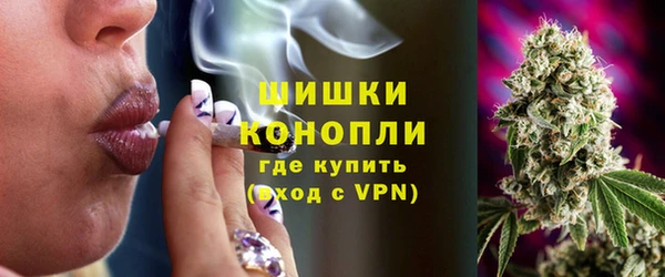 не бодяженный Каменногорск