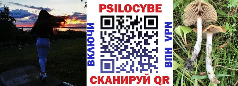 Галлюциногенные грибы Psilocybe  Махачкала 