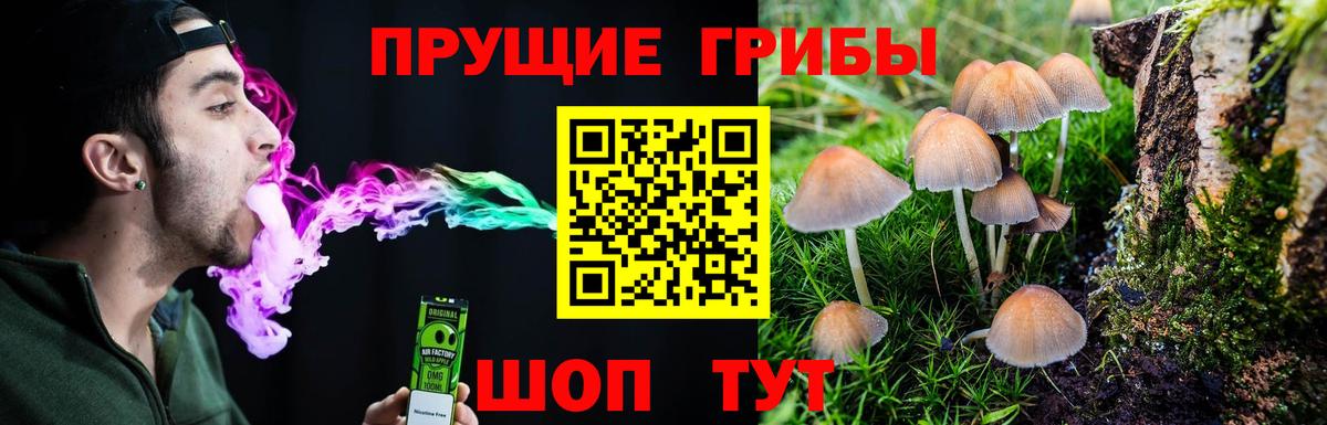 Махачкала  Псилоцибиновые грибы Cubensis  Псилоцибиновые грибы мухоморы  Вход с VPN 