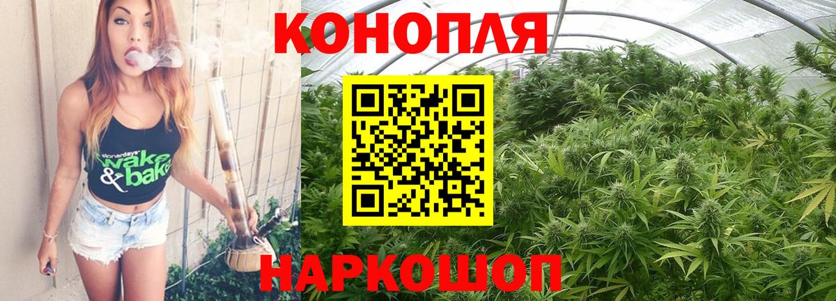 Каннабис семена Махачкала